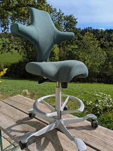Håg capisco 8106 - capisco,